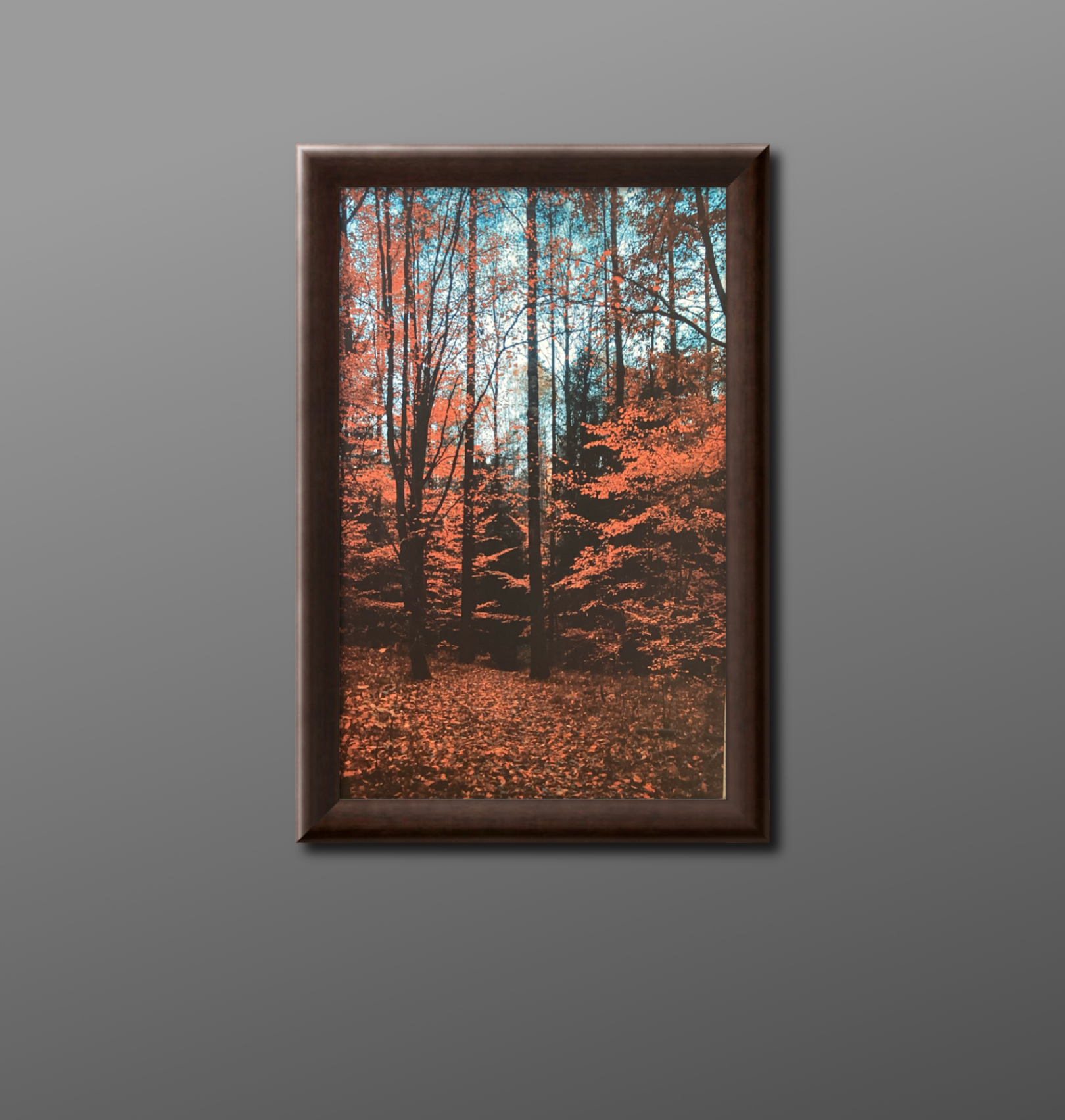 Whispers of autumn