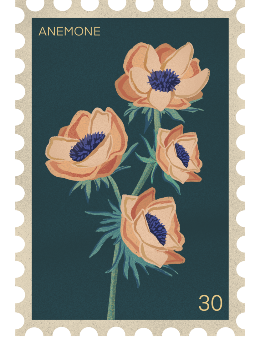 Anemone