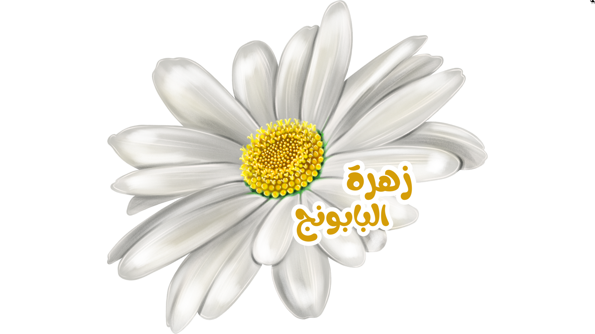 زهرة