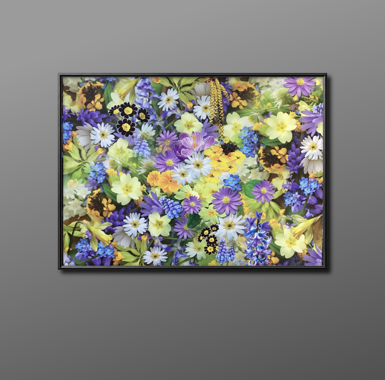 Fragrance of Colors
