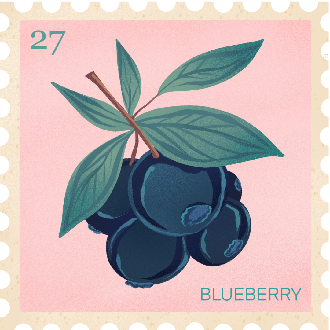 Blueberry 