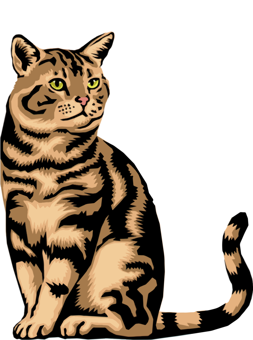 Cute Kitty