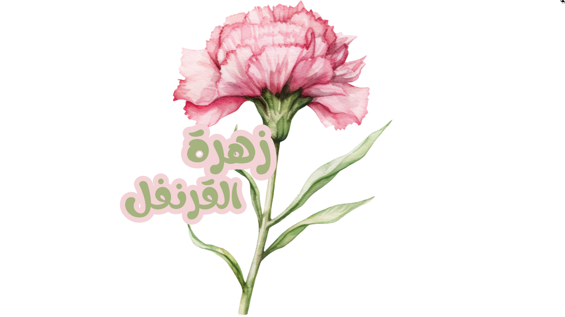 Carnation Flower