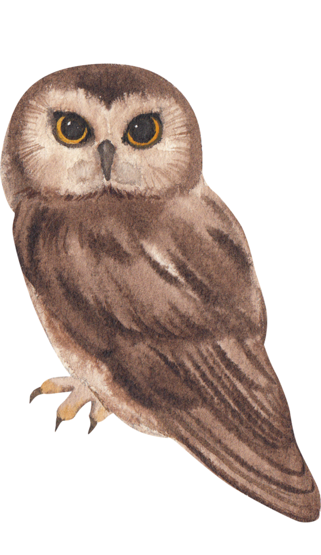 Eye of Wisdom