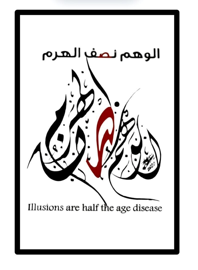 ILLUSIONS ARE HALF THE AGE DISEASE 2