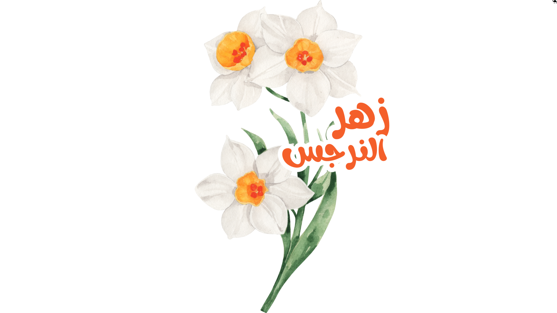 Daffodil Flower