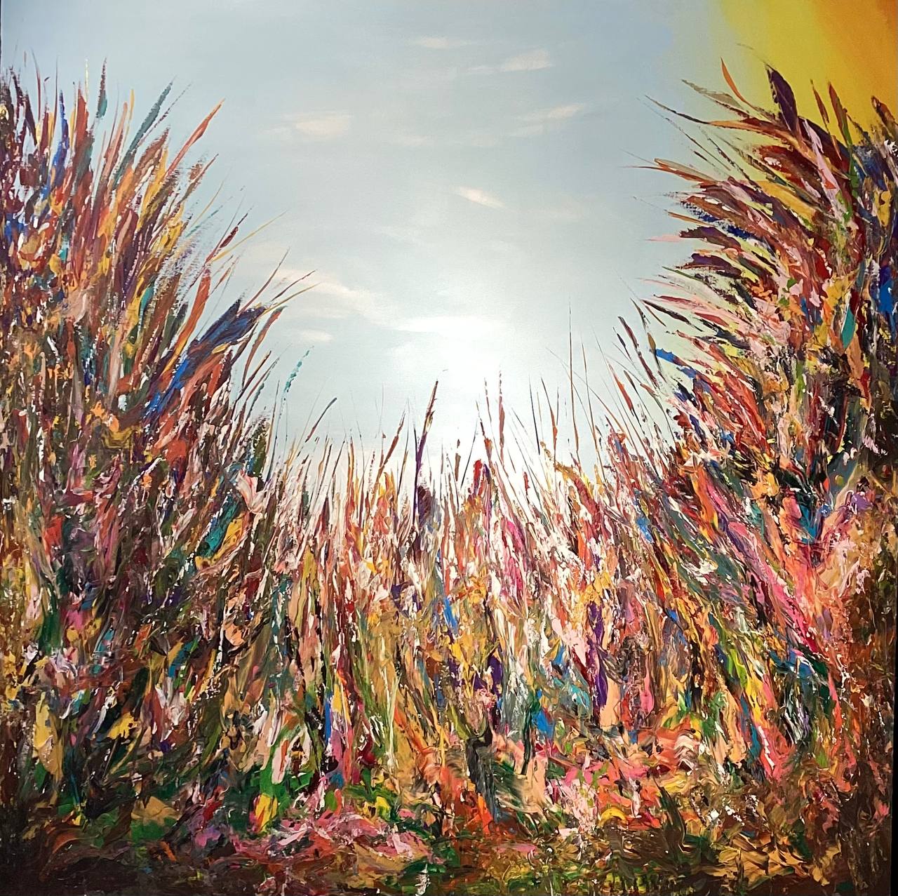 Happiness dance of the grass in the sunlight