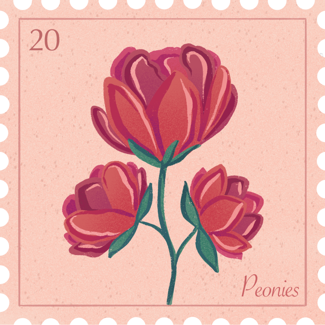 Peonies 