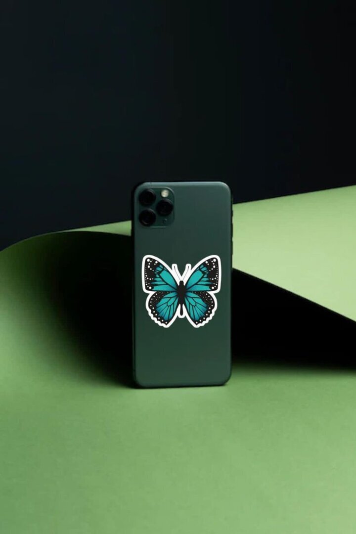 The Turquoise Butterfly