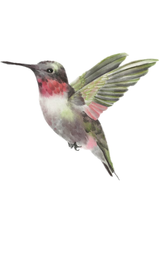 Wings of Joy