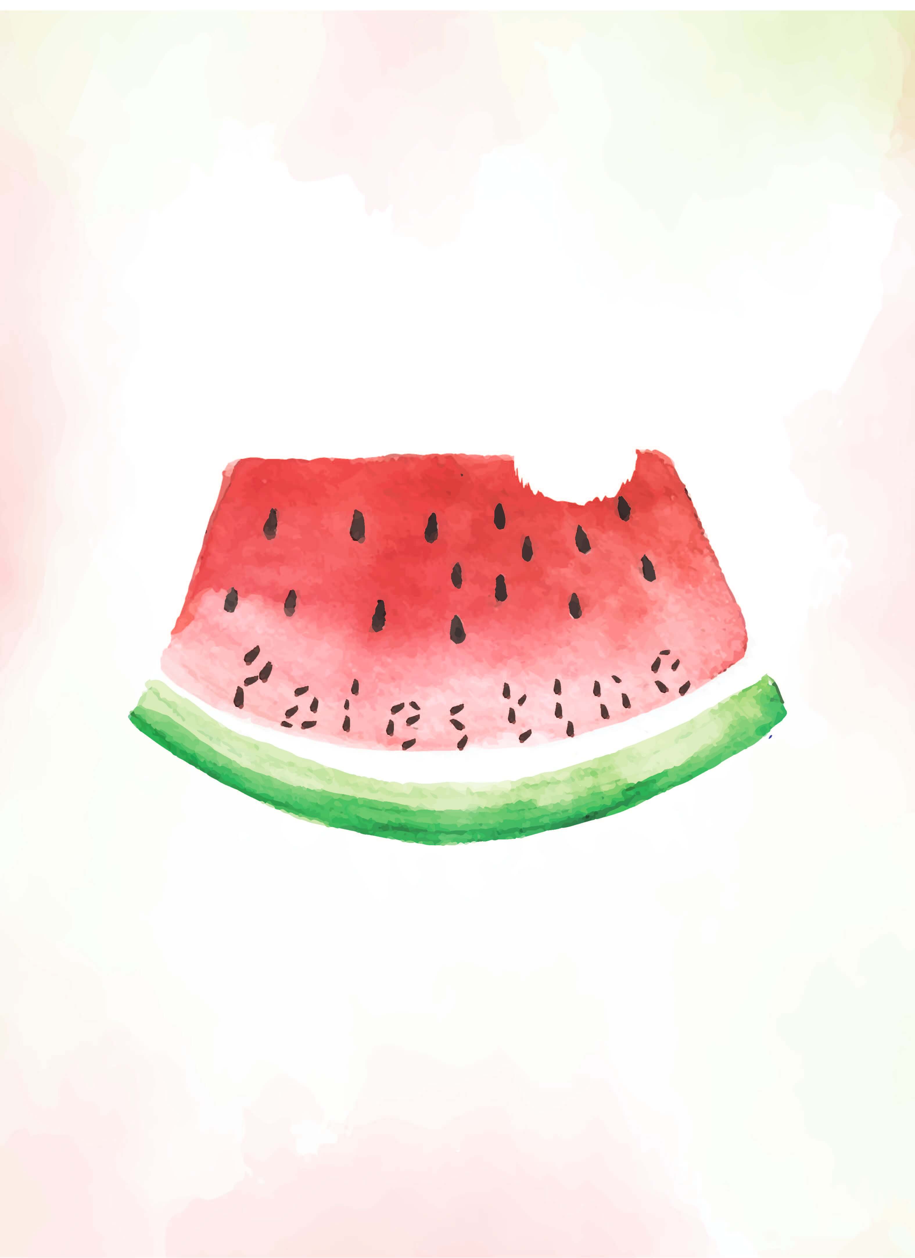The_watermelon_Palestinian_Resilience-الصمود_الفلسطيني